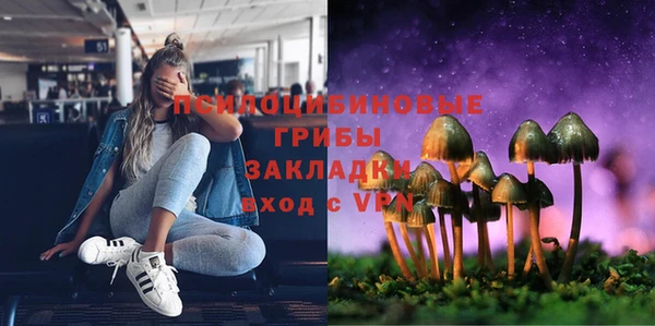 PSILOCYBIN Беломорск