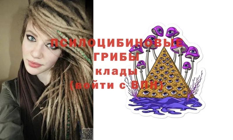 Галлюциногенные грибы Cubensis  как найти закладки  MEGA сайт  Микунь 